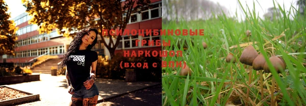 apvp Балабаново